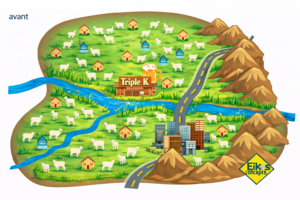 Carte de Koala City avant transformation, utilisée dans un jeu pédagogique sur la conduite du changement organisationnel.