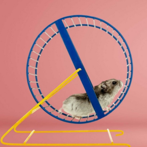 Hamster dans une roue, utilisé pour illustrer le mode réactif et l’impression de courir sans avancer.